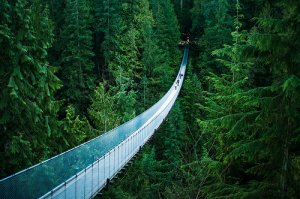 Los 5 puentes más interesantes del mundo