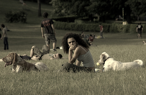 viajar-con-tu-perro-3