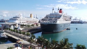 Lugares donde viajar con tu perro