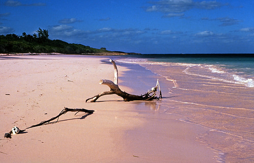 Las playas de colores más espectaculares