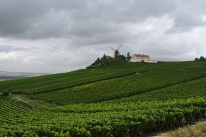 La deliciosa ruta del vino en Francia