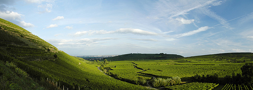 ruta-del-vino-en-francia-4