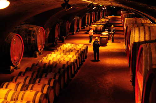 ruta-del-vino-en-francia-5