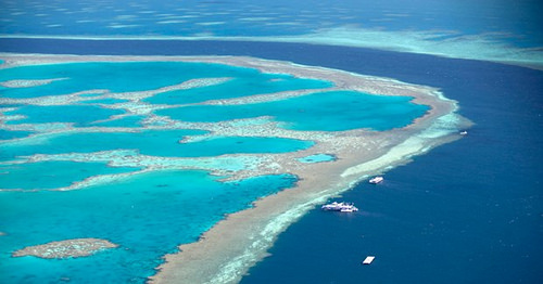 Great Barrier Reef, Undated. símbolos de Australia simbolos-de-australia-5