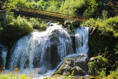 triberg-la-selva-negra