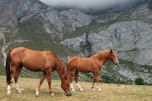 picos-de-europa-3