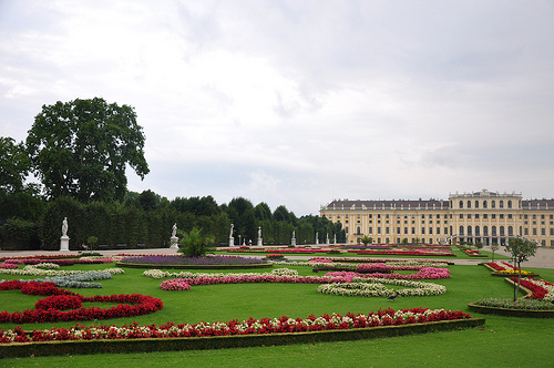 viena-4