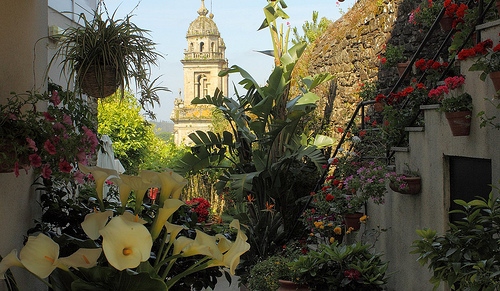 actividades-para-los-peregrinos-2