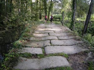 Las rutas del Camino de Santiago