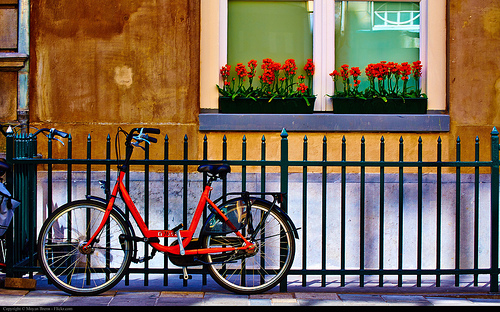 fin-de-semana-en-amsterdam-3