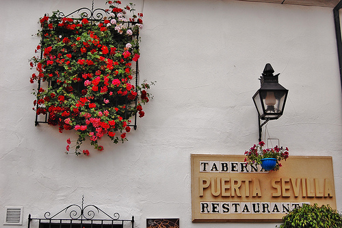 juderia-de-cordoba-3