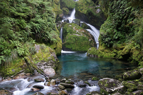 parque-nacional-fiordland-4