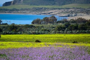 Las 5 playas de España más bonitas