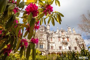 La misteriosa Quinta da Regaleira