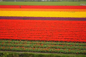 5 de los lugares más espectaculares del planeta