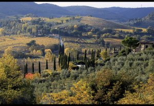 Elige entre estas 5 escapadas por Europa