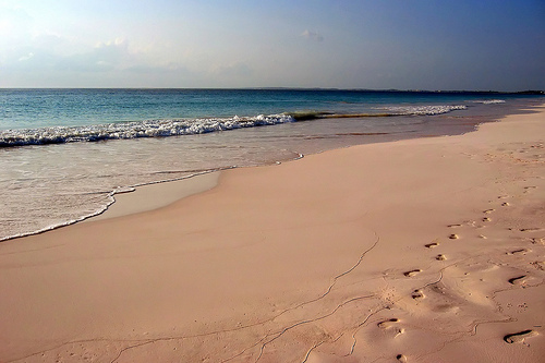 Playa rosa en las bahamas