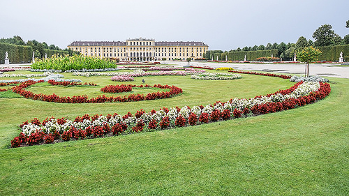 Viena