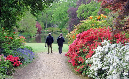 Jardines exbury
