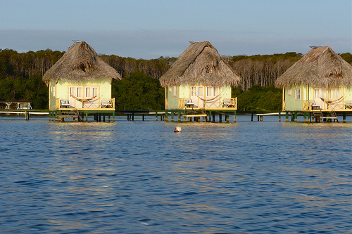 Bocas del toro