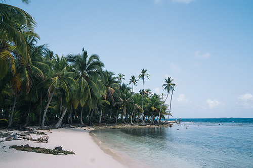 Bocas del toro