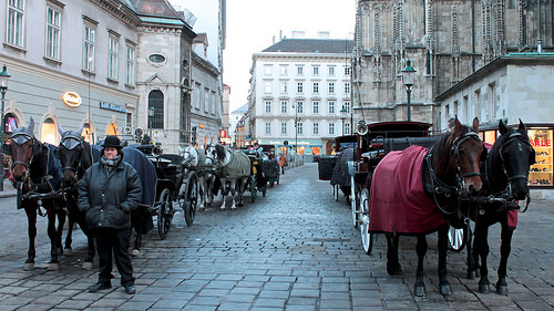 Viena