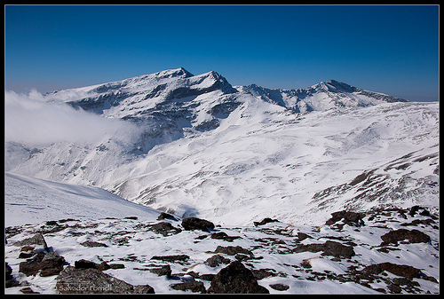 Sierra nevada