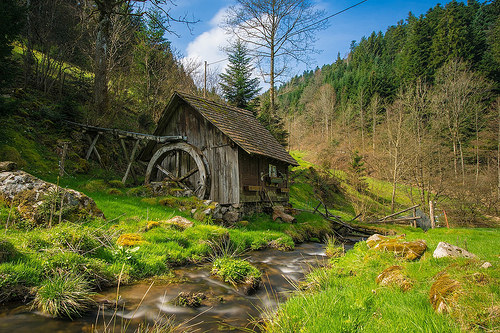 Bosques más hermosos de europa 2