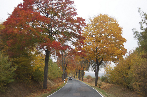 Carreteras más hermosas de europa 2