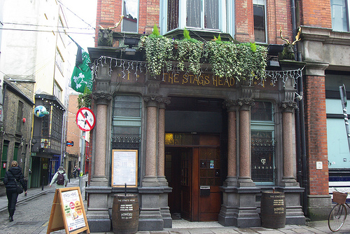 Stag's head
