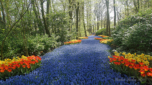 Primavera en europa 2