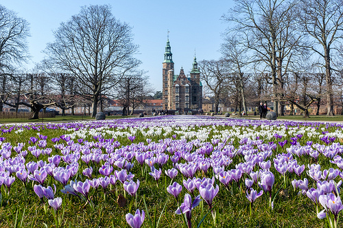 Copenhague