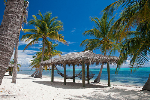Islas Caimán: vive al máximo 4 de sus encantos