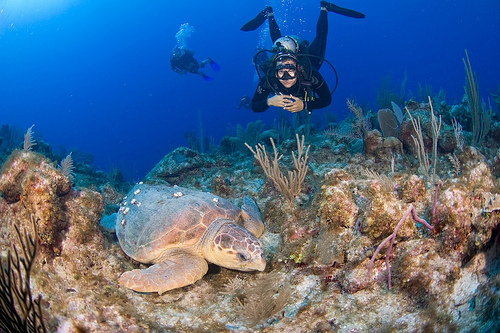 Islas caiman 2
