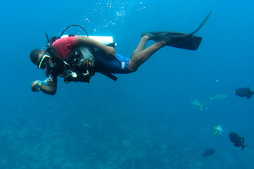 buceo