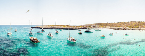 Cala varques